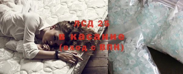СК Инта
