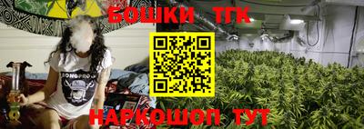 прущие грибы Вышний Волочёк