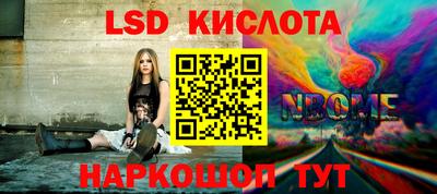 прущие грибы Вышний Волочёк