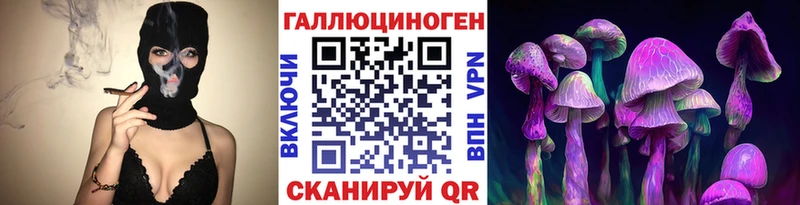 даркнет телеграм  omg как войти  Иркутск  Галлюциногенные грибы Psilocybine cubensis 
