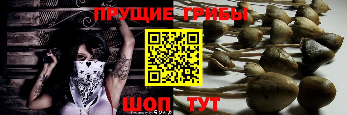 Галлюциногенные грибы ЛСД Иркутск